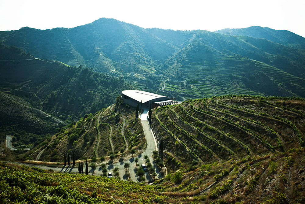 VINYAS-Y-BODEGA-FERRER-BOBET